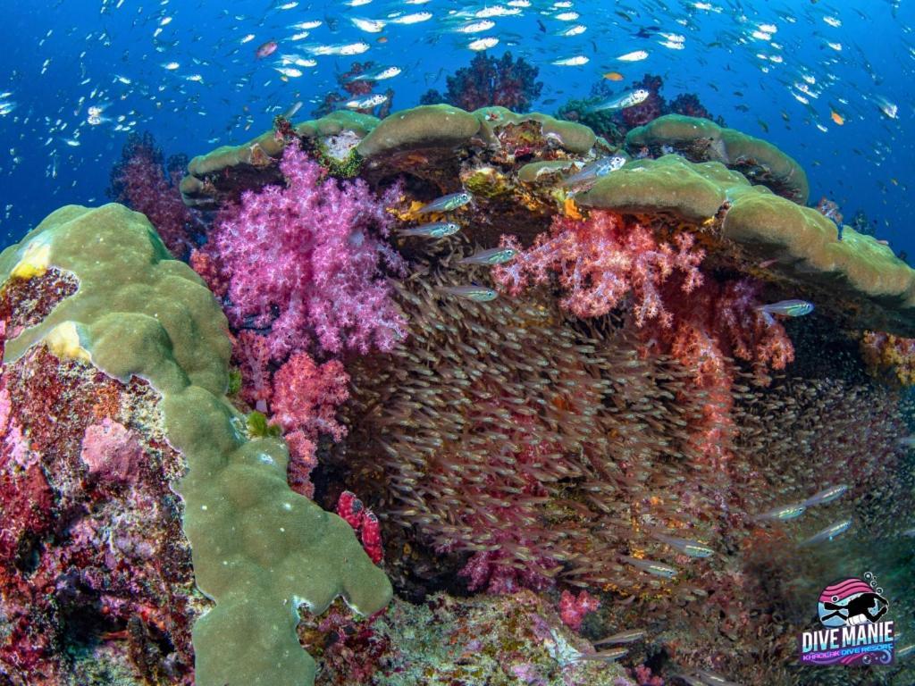 Khaolak Dive Resort Khao Lak Esterno foto