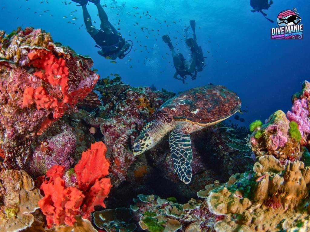 Khaolak Dive Resort Khao Lak Esterno foto