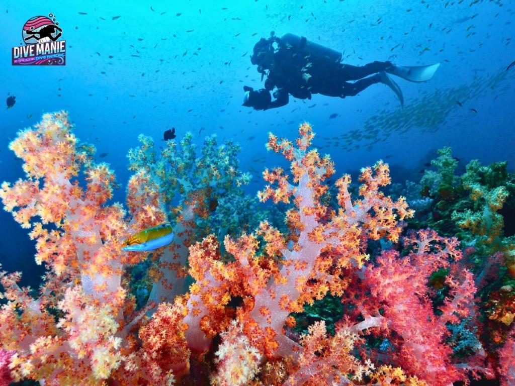 Khaolak Dive Resort Khao Lak Esterno foto