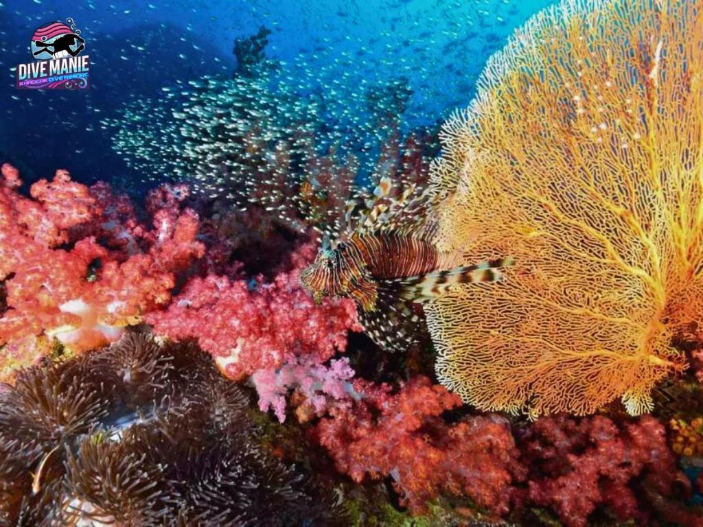 Khaolak Dive Resort Khao Lak Esterno foto